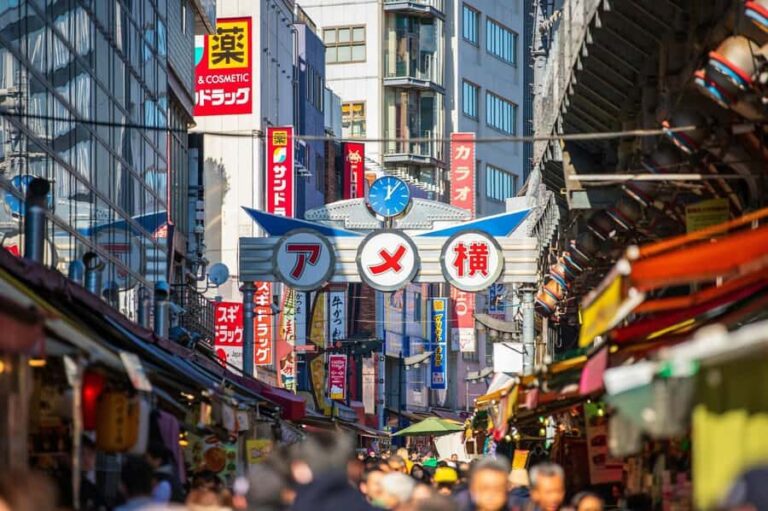 Tokyo Ueno Bar Hopping Tour Hidden Izakaya & Local Guide - Practical Tips for Your Night Out