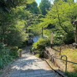 Tokyo: Ueno Park and Ameyoko Street Walking Tour - Final Thoughts