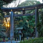 Tokyo Uncovered: A Luxury Day of Tradition & Tech - The Real-World Perspective: What Travelers Say