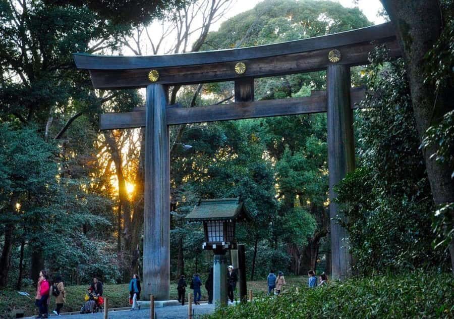 Tokyo Uncovered: A Luxury Day of Tradition & Tech - The Real-World Perspective: What Travelers Say