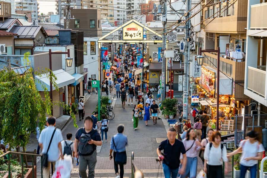 Tokyo: Walking Tour of Historic Shopping Streets - Authentic Experiences & Local Insights