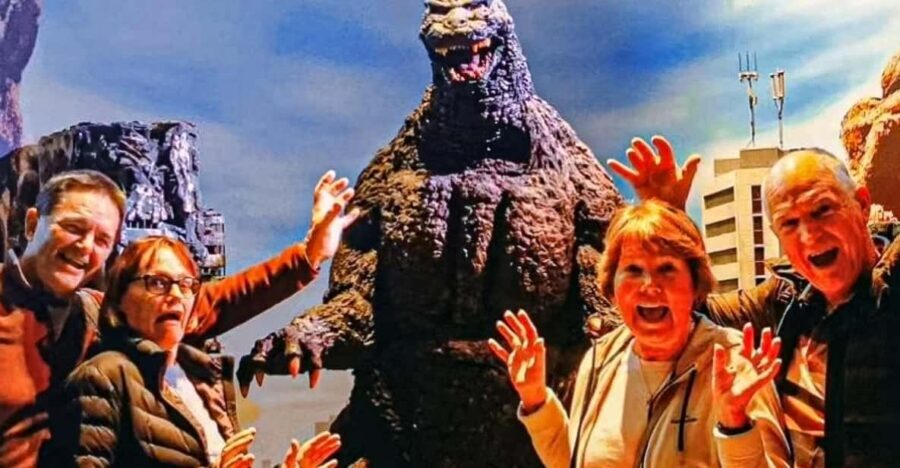 Tokyo Walking Tour with Licensed Guide Shinjuku - Practical Aspects and Value