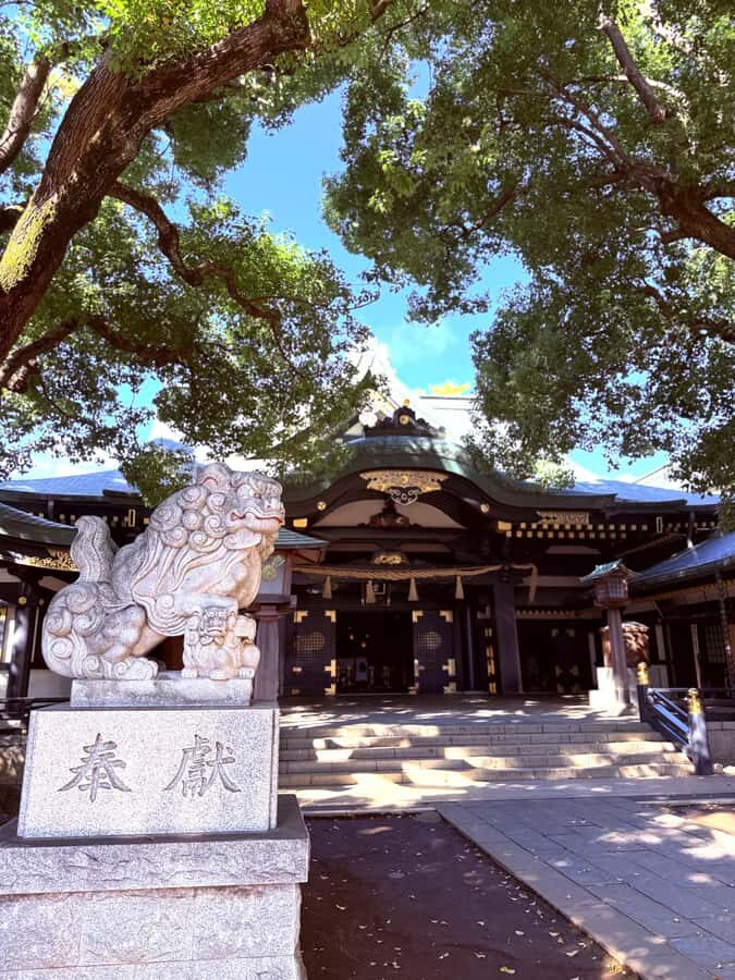 Tokyo Waseda Walk :A Hidden Shrine, Temple & Literary Garden - Waseda University: A Hub of Energy and Diversity