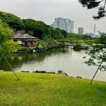 Tokyo Waterfront Tour: Tsukiji Market & Bay Area 3.5 Hrs - Who Would Love This Tour?