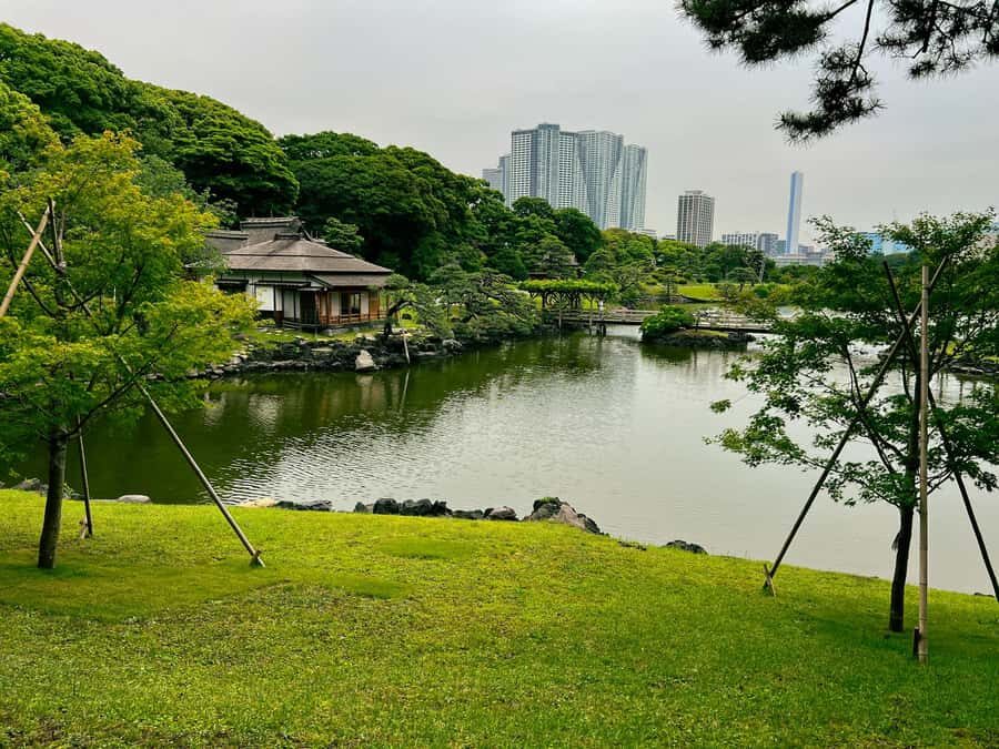 Tokyo Waterfront Tour: Tsukiji Market & Bay Area 3.5 Hrs - Who Would Love This Tour?