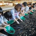 Tokyo: West Izu Day Trip - Exploring the Itinerary in Detail