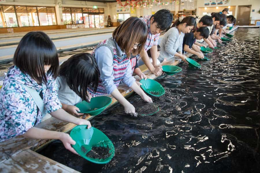 Tokyo: West Izu Day Trip - Exploring the Itinerary in Detail