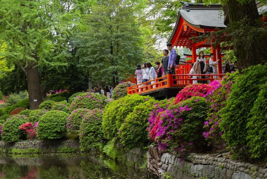 Tokyo: Yanesen Cultural & Hidden Gems Guided Walking Tour - Practical Details & Tips