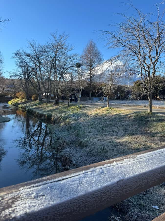 Tokyo/Yokohama: Mount Fuji & Hakone Private Full-Day Tour - Value and Practical Considerations