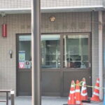 Tokyo: Yoshiwara Brothel History Walking Tour - The Practicalities: What to Expect