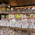 Tokyo:An Unique temple Walking Tour for cat lovers - The Charm of Beckoning Cats and Their Cultural Roots