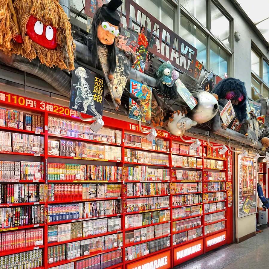Tokyo:Anime Rare Collectibles Vintage Toys Nakano Guide Tour - What Makes This Tour Stand Out?