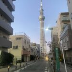 Tokyocity day tour with english speaking guide,hotel pick up - Who Will Love This Tour?