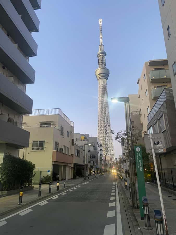 Tokyocity day tour with english speaking guide,hotel pick up - Who Will Love This Tour?