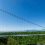 Tokyo:Customizable Private Day Trip to Mt.Fuji & Safari Park - Practical Details & Tips