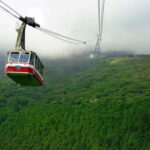 Tokyo:Hakone,Mt.Fuji,Cruise,ropeway,w/lunch,Shinkansen - Practical Details and Tips