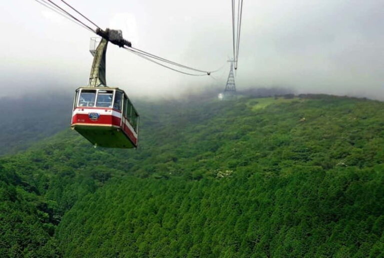 Tokyo:Hakone,Mt.Fuji,Cruise,ropeway,w/lunch,Shinkansen - Practical Details and Tips