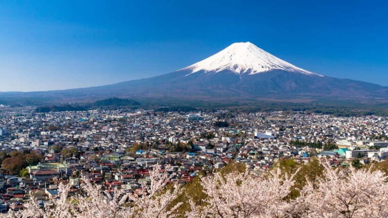 Tokyo:Mt. Fuji 5th Station&Onsen Day Trip | Seasonal Special - What Travelers Say