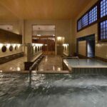 Tokyo:Onsen(Hot spring)Tattoo-friendly experience with Local - What to Expect from the Itinerary