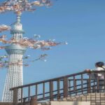 Tokyo:Private Custom Tour History, Art & Iconic Landmarks - The Magic of Studio Ghibli