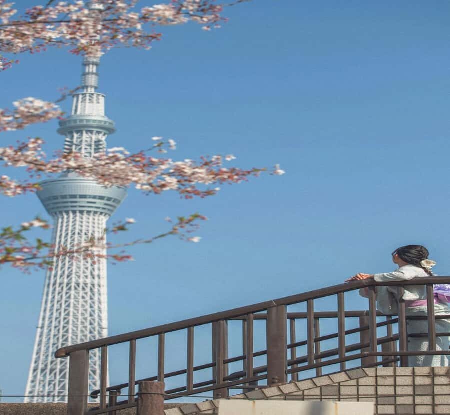 Tokyo:Private Custom Tour History, Art & Iconic Landmarks - The Magic of Studio Ghibli