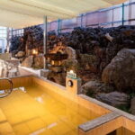 Tokyo's Only Tattoo Friendly traditional bathhouse + Ramen Tour! - Why This Tour Stands Out