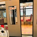 Tokyo's Shibuya On Foot, With Hachiko & the Lucky Cat Temple - A Deep Dive into the Shibuya Adventure