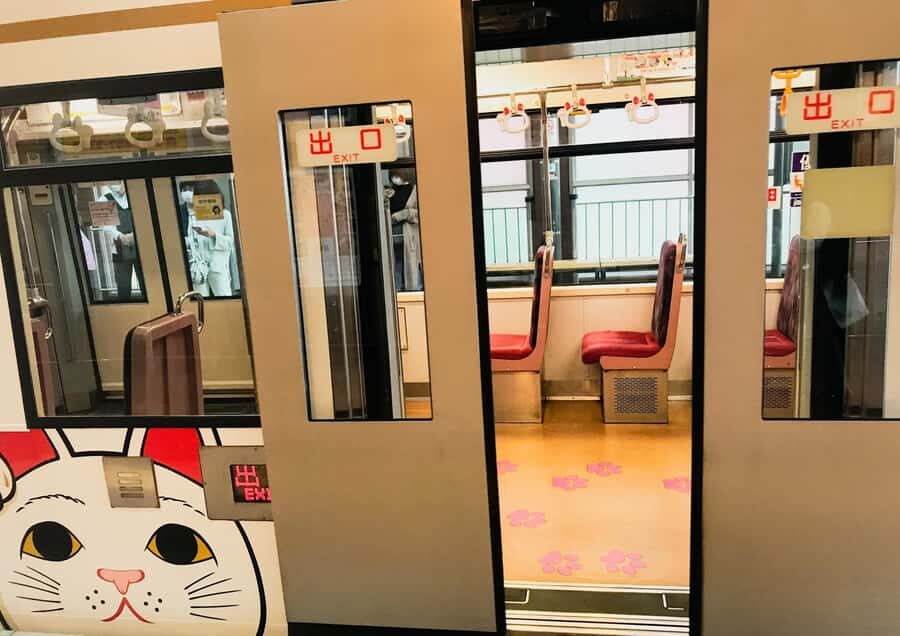 Tokyo's Shibuya On Foot, With Hachiko & the Lucky Cat Temple - A Deep Dive into the Shibuya Adventure