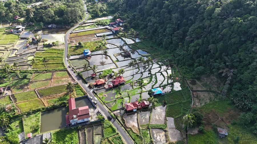 Tomohon: Minahasa Culture and Nature tour with Local Guide - An In-Depth Look at the Minahasa Culture and Nature Tour