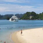 Top Luxury Halong Bay Ambassador Cruise with Buffet Lunch & Views - Who is this cruise best for?