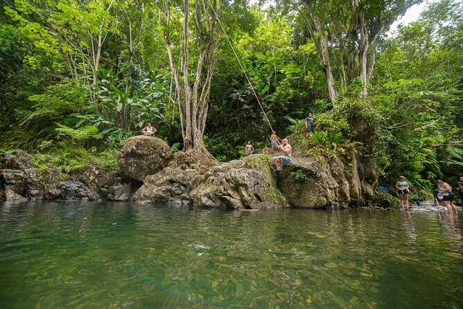 Top Rated El Yunque Rainforest & Waterslide  SmallGroup Tour - Guides and Safety: What Sets This Tour Apart