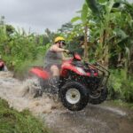 Top Rated Ubud ATV: 350 CC, longest elephant cave tunnel, tours. - What To Expect from the Tour