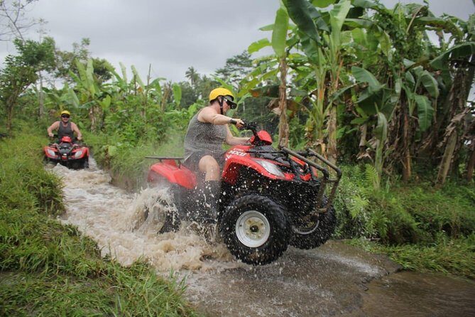 Top Rated Ubud ATV: 350 CC, longest elephant cave tunnel, tours. - What To Expect from the Tour