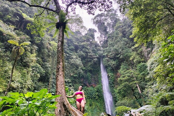Top Waterfalls in Bali: Leke-Leke, Aling-Aling, Blue Lagoon - What Makes This Tour Stand Out?