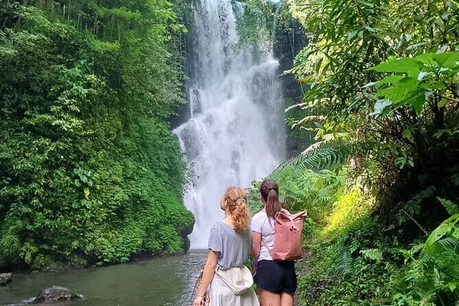 Top Waterfalls in Bali: Leke-Leke, Aling-Aling, Blue Lagoon - The Sum Up