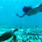 Tortola Private Tour and Snorkeling in the most beautiful beaches - Final Words: Who Is This Tour Perfect For?