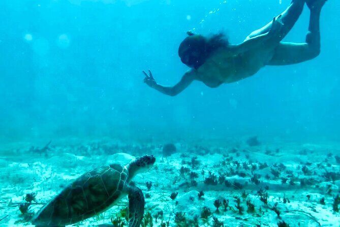 Tortola Private Tour and Snorkeling in the most beautiful beaches - Final Words: Who Is This Tour Perfect For?