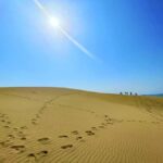 Tottori: Guided Walk through the Tottori Sand Dunes - The Itinerary: A Closer Look