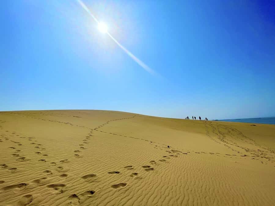 Tottori: Guided Walk through the Tottori Sand Dunes - The Itinerary: A Closer Look