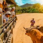 Tour Cultural For Small Group Visit Basilica Higuey - Transportation and Group Size