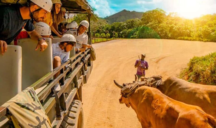 Tour Cultural For Small Group Visit Basilica Higuey - Transportation and Group Size  