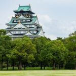 Tour Famous Spots in Osaka by Private Car - Authentic Feedback and What It Means for You