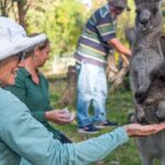 Tour from Eden to Merimbula Wetlands Wildlife and Coastline - What Makes This Tour Stand Out