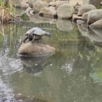 Tour Hiroshima: Explore Its Spiritual & Cultural Treasures - What to Expect on This Tour