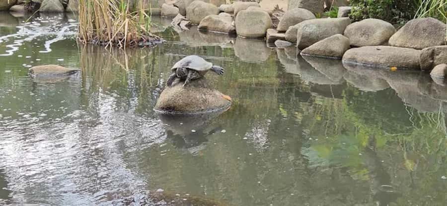 Tour Hiroshima: Explore Its Spiritual & Cultural Treasures - What to Expect on This Tour