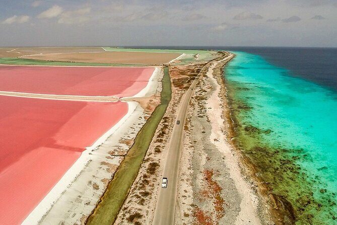 Tour in North and South Bonaire Guided - Good To Know