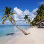 Tour in Saona Island from Santo Domingo - The First Stop: Isla Saona