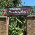 Tour in Ubud with a Private Driver - The Experience from Our Review Perspective