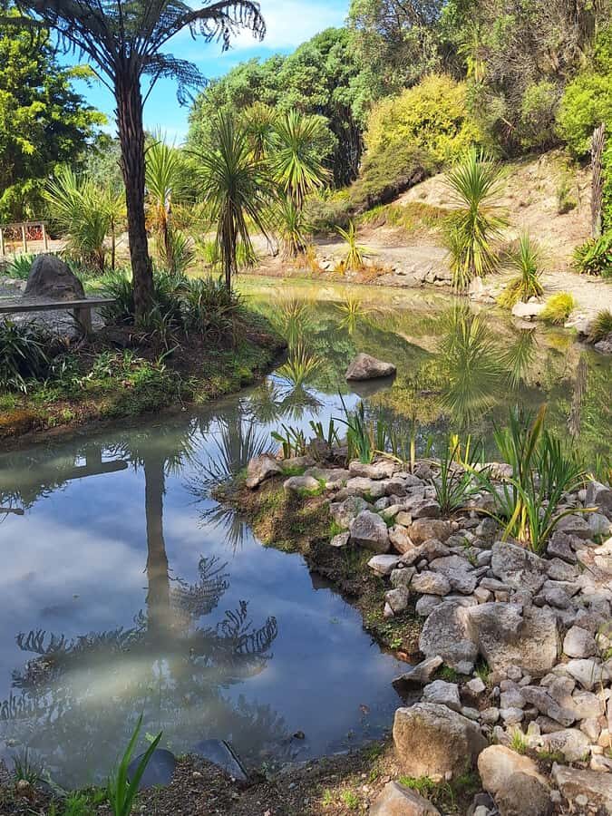 Tour of the Bay, Te Puna Sculpture Park and Historic Village - What It’s Like to Experience This Tour