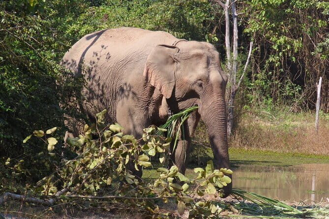 Tour of the Wildlife Rescue Center - Authentic Insights From Travelers